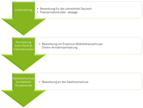 Ablaufdiagramm für Erasmus mit drei Schritten