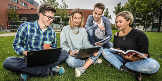 Gruppe lernt auf der Wiese Eine Gruppe studierender lernt auf der Wiese.